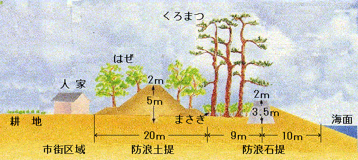 広村堤防横断図