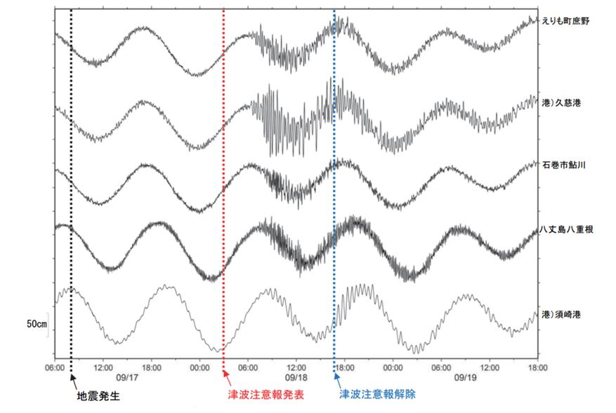 津波観測施設の津波波形