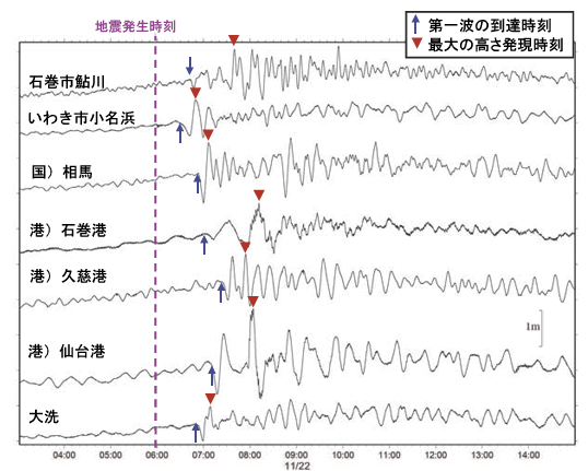 津波観測施設の津波波形