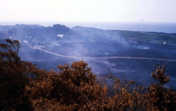 阿古集落（1983年の噴火後）