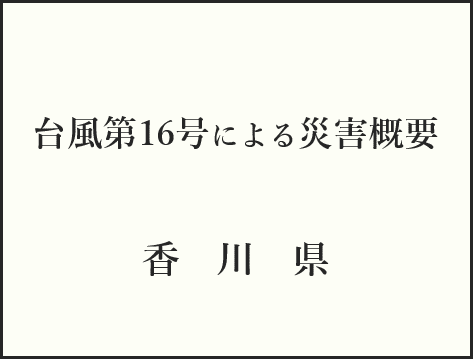 「災害概要」
