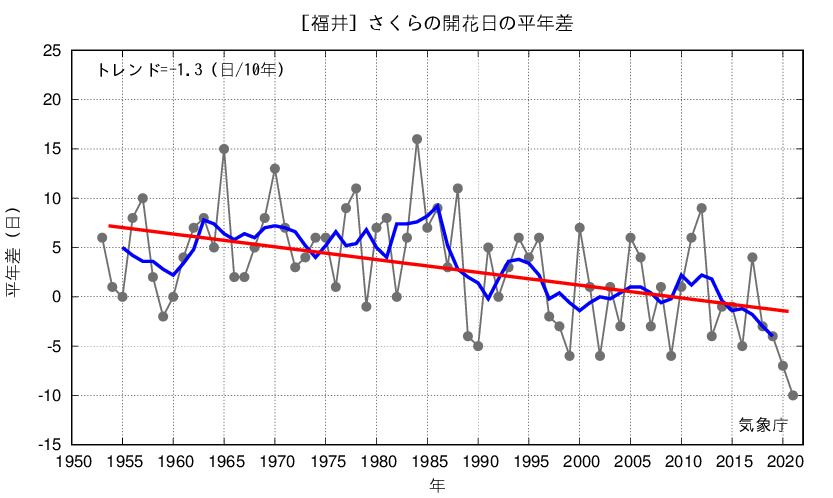 さくら開花日