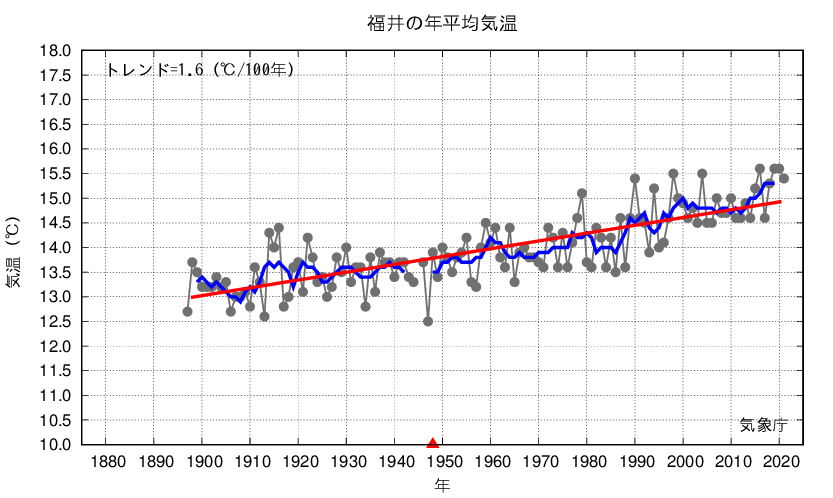 福井_年平均気温