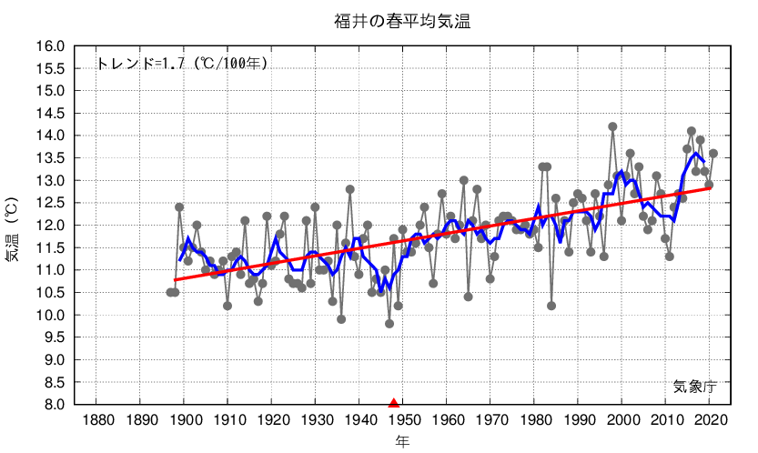 福井_春平均気温