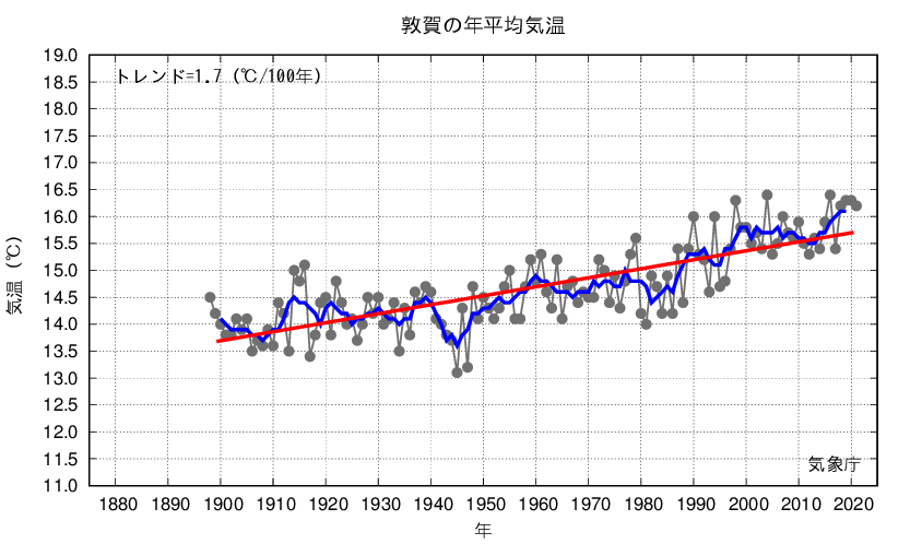 敦賀_年平均気温