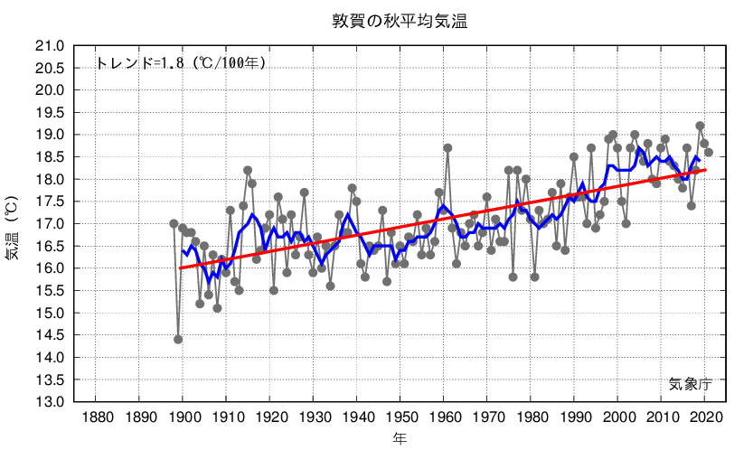 敦賀_秋平均気温