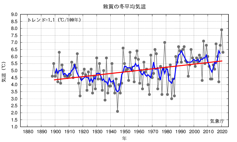 敦賀_冬平均気温