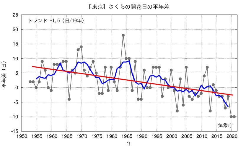 さくら開花日