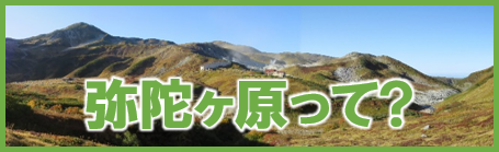 弥陀ヶ原（みだがはら）って?