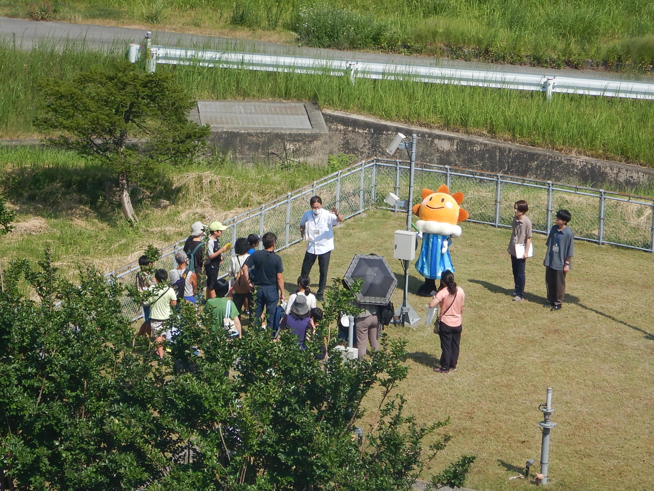 露場