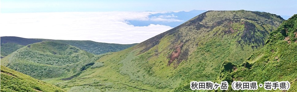 208_秋田駒ヶ岳