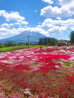 羊蹄山写真04