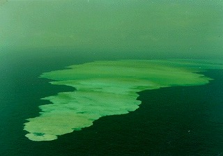 海徳海山写真01
