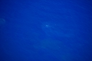 噴火浅根