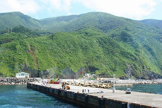 御蔵島写真02