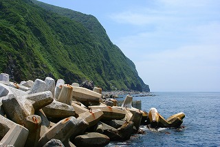 御蔵島写真03