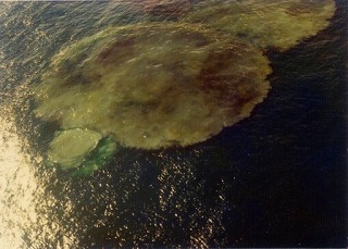 南日吉海山写真01