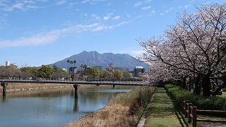 桜島写真05