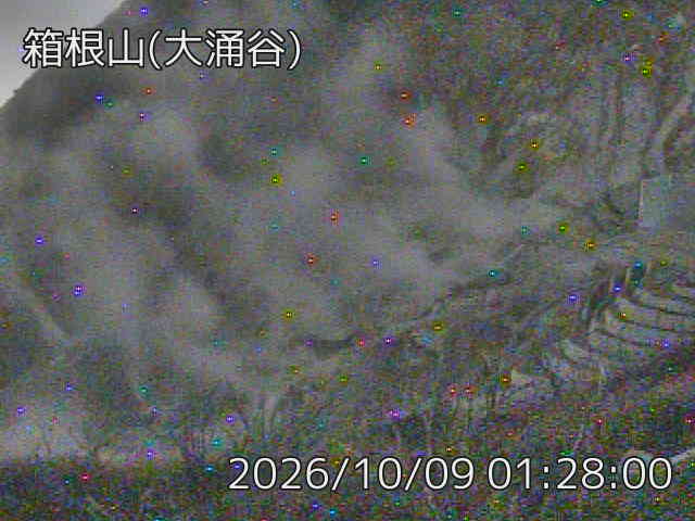 箱根山 大涌谷 最新画像