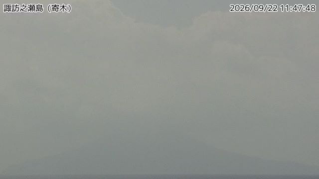 諏訪之瀬島 寄木 最新画像