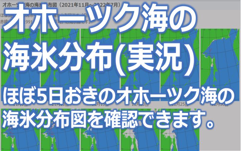 オホーツク海の海氷分布図（実況）