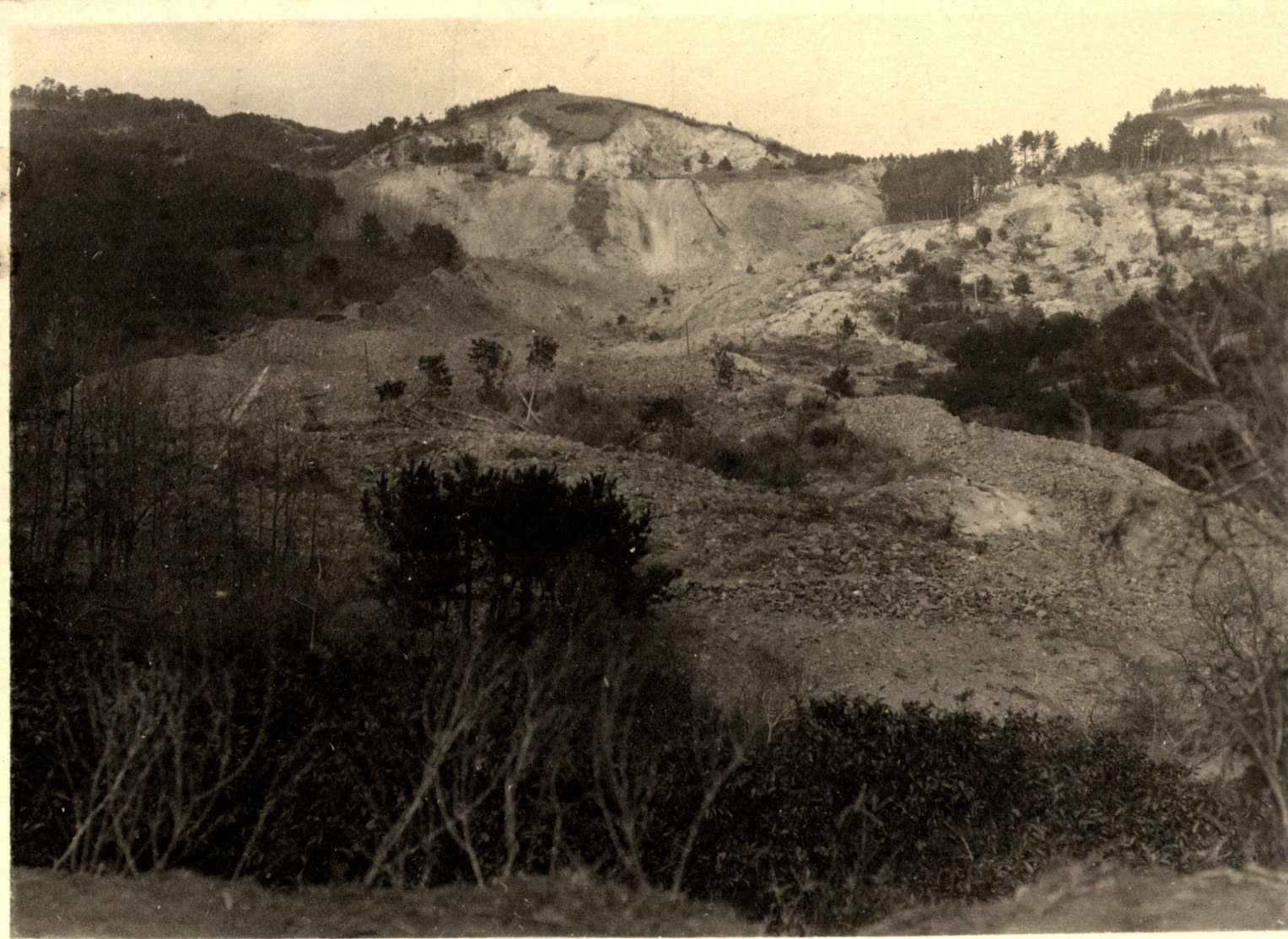 真鶴町付近 higai