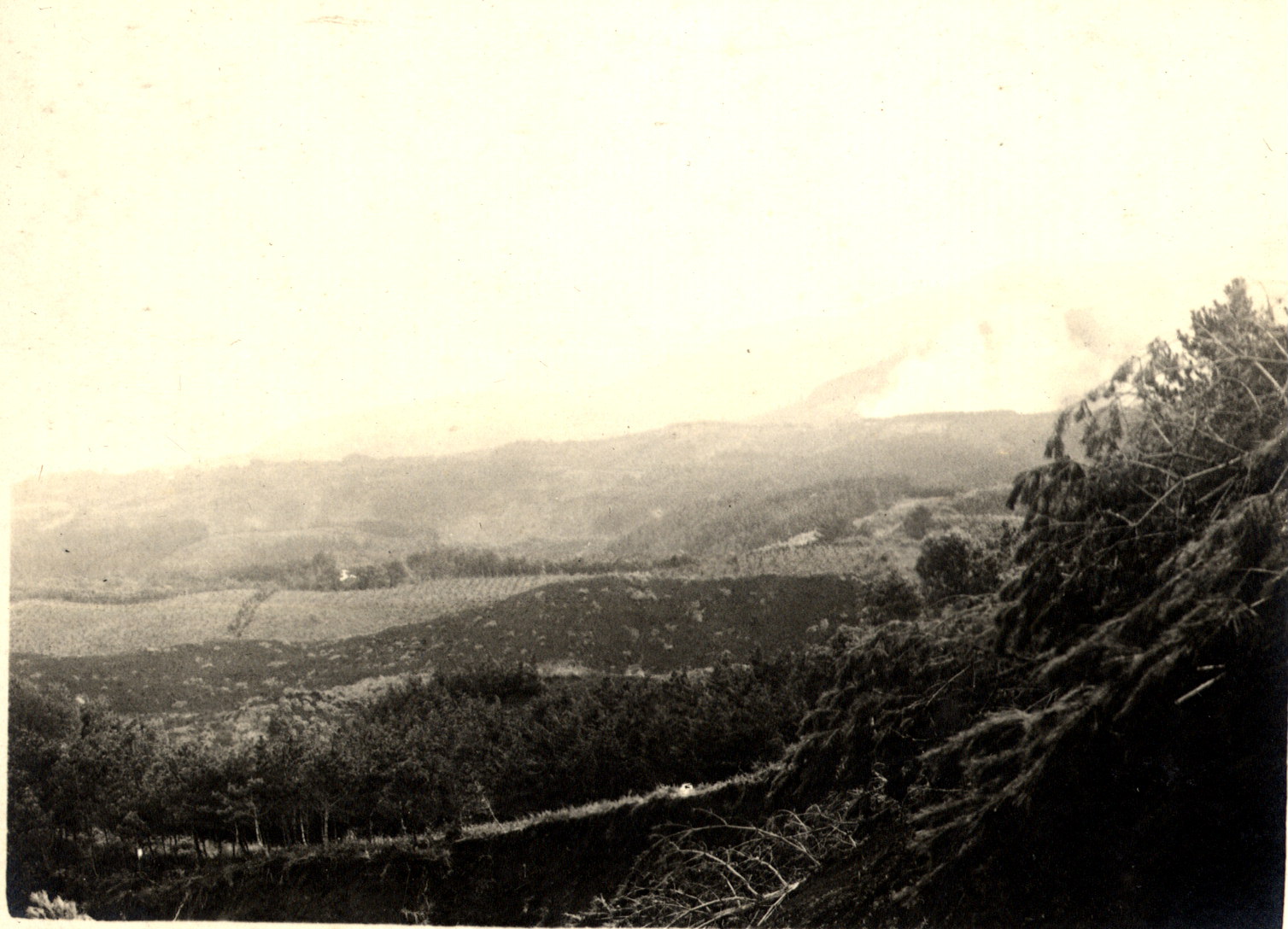 小田原市付近 higai