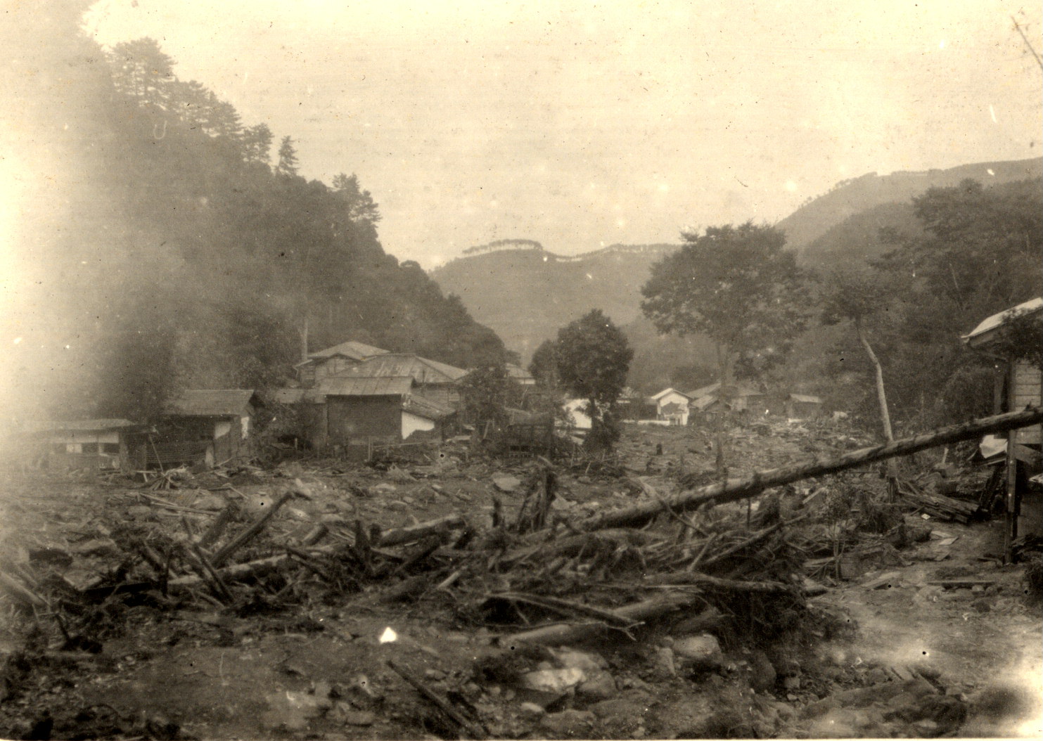 秦野市大山付近 higai