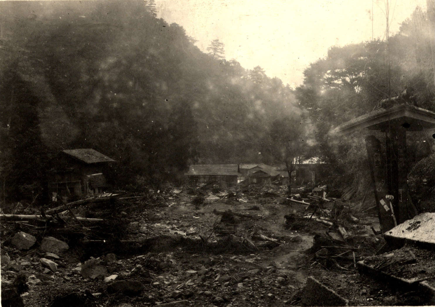 秦野市大山付近 higai