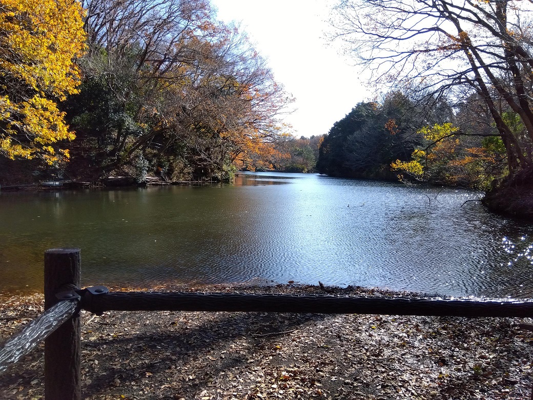 震生湖 higai