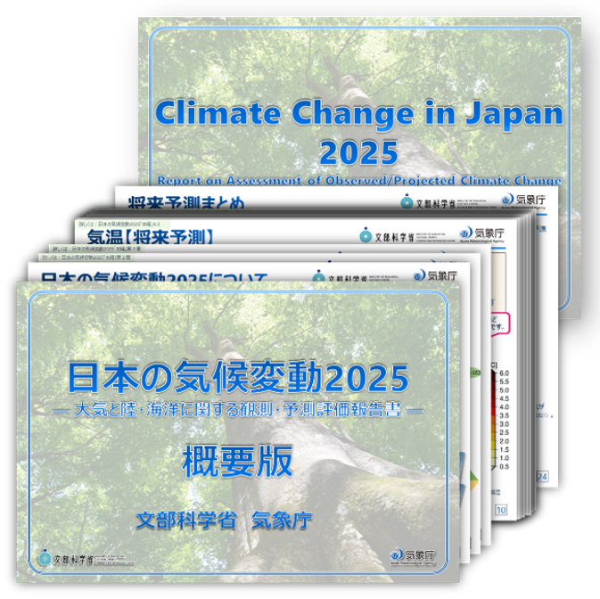 概要版のイメージ